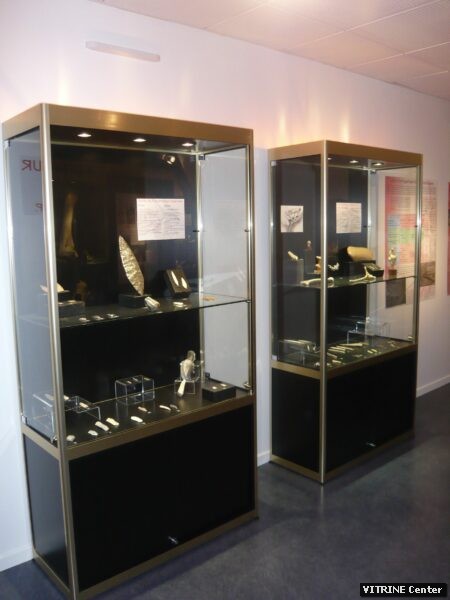 vitrine haute en aluminium pour exposition musée de la préhistoire