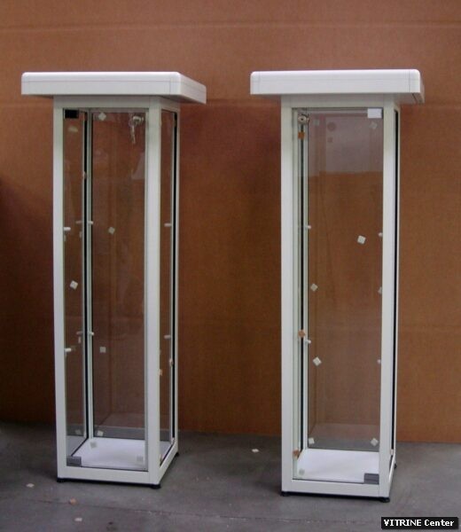 vitrine aluminium et verre avec porte battante et securisé