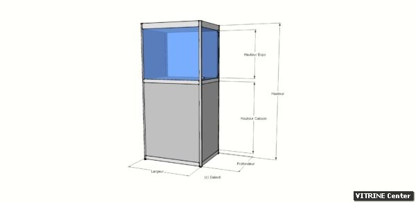 vitrine haute composer d'une partie expo et d' un caisson, porte battante de cotés