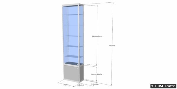 Vitrine haute équipé de porte battante verre et mélaminé + serrure