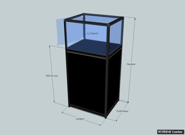 Vitrine basse meuble avec porte battante verre + serrure partie expo