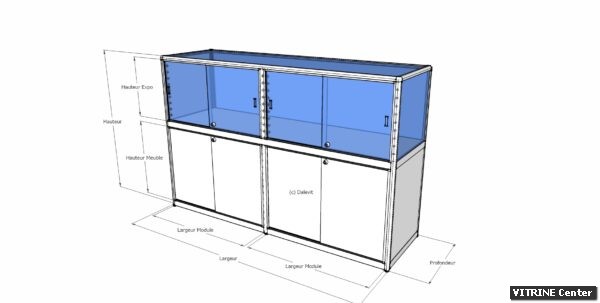 Vitrine basse equipé de 2 partie meuble