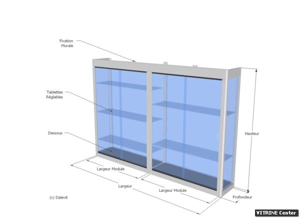 Vitrine murale 2 modules avec tablettes verres et pattes de fixation murale