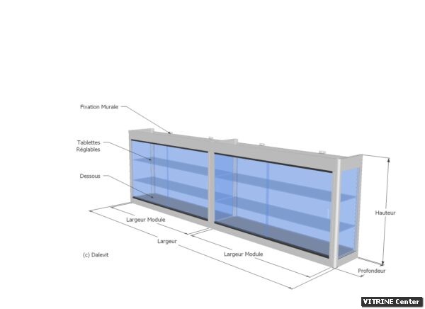 Vitrine murale double modules identiques avec tablette et porte en verre